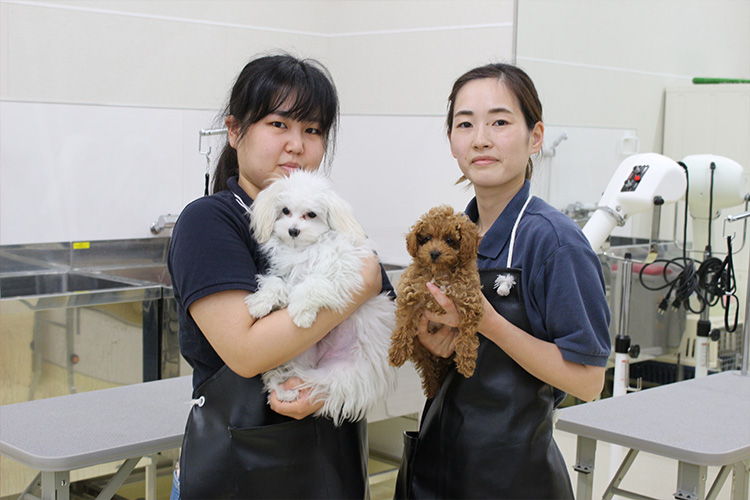 ペットアミ 佐沼店