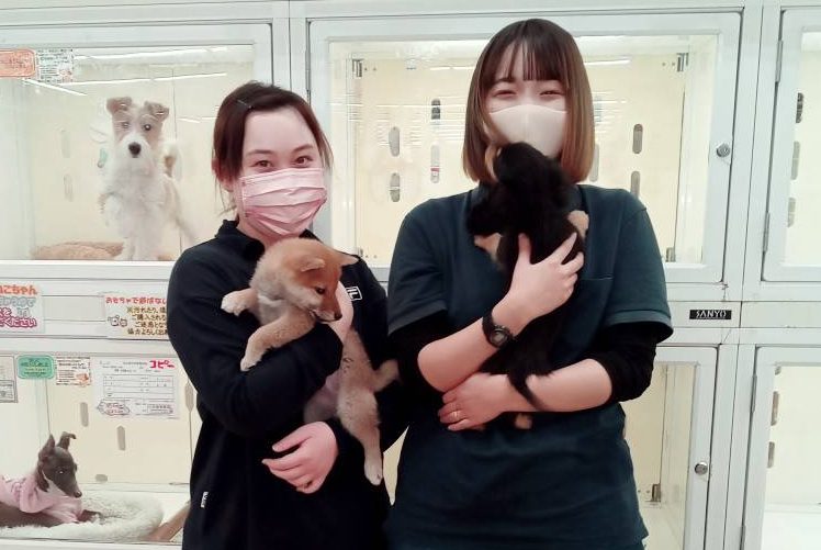 ペットアミ 岩出店